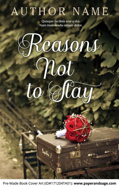 Pre-Made Book Cover ID#171204TA01 (Reasons Not to Stay)