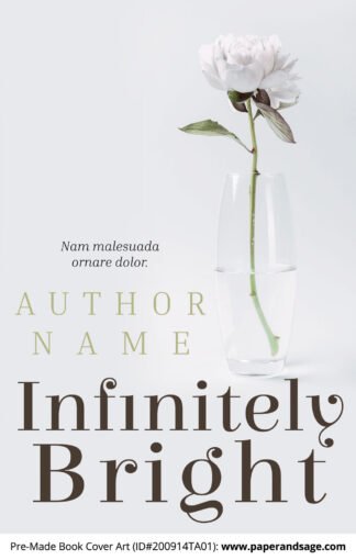 Pre-Made Book Cover ID#200914TA01 (Infinitely Bright)