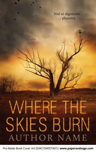 Pre-Made Book Cover ID#210405TA01 (Where the Skies Burn)